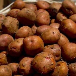 Close-up of fresh potatoes in a basket at a market, ideal for cooking and nutrition concepts.