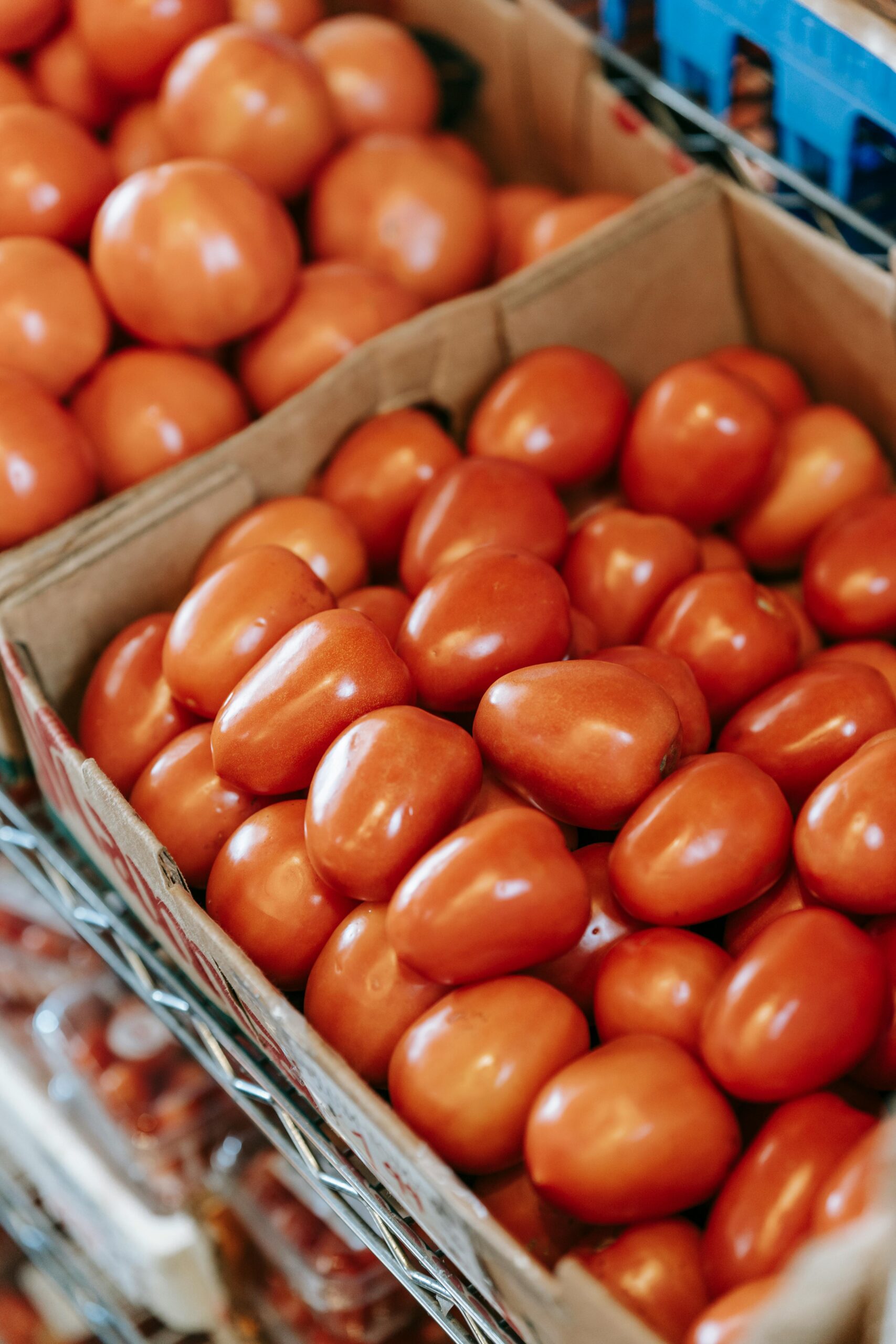 From above of round and oval shaped tomatoes in containers on shelf in grocery shop in shiny light